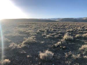 Property photo for land for sale in Lander County Nevada