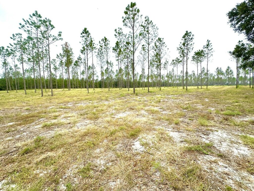 Property photo for land for sale in Lafayette County Florida