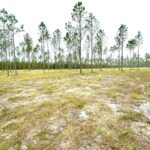 Property photo for land for sale in Lafayette County Florida