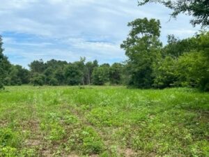 Property photo for land for sale in Morris County Texas