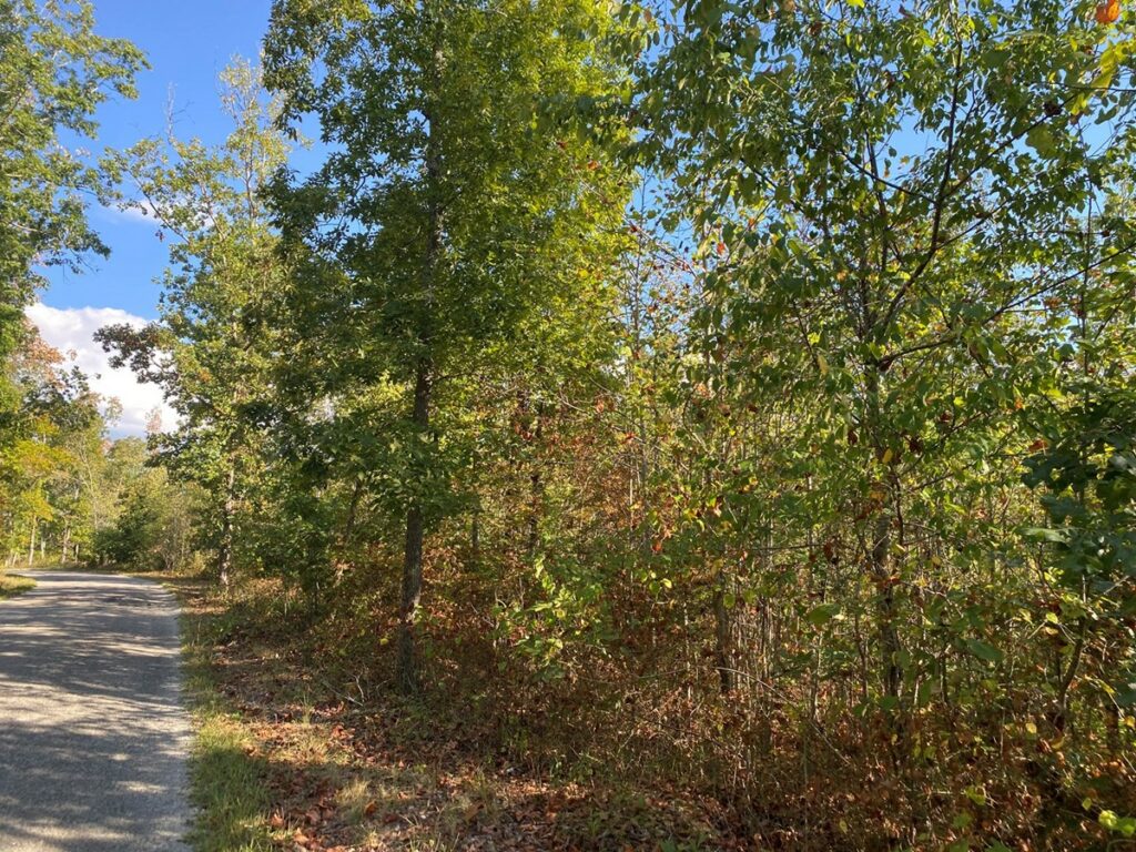 Property photo for land for sale in Wayne County Tennessee