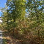 Property photo for land for sale in Wayne County Tennessee