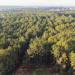 Property photo for land for sale in Franklin County Mississippi