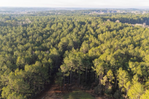 Property photo for land for sale in Franklin County Mississippi