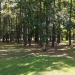 Property photo for land for sale in Carteret County North Carolina