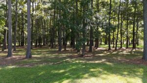 Property photo for land for sale in Carteret County North Carolina