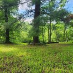 Property photo for land for sale in Vernon County Wisconsin