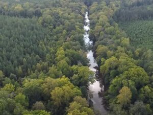 Property photo for land for sale in Brunswick County Virginia