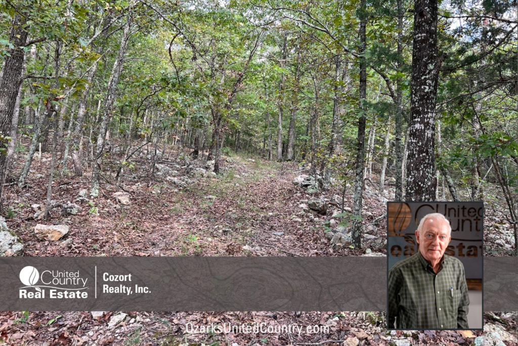 Property photo for land for sale in Fulton County Arkansas