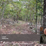 Property photo for land for sale in Fulton County Arkansas