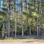 Property photo for land for sale in Perquimans County North Carolina