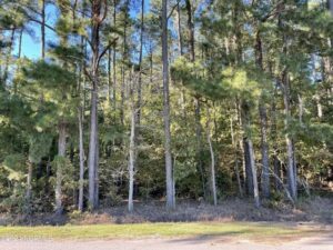 Property photo for land for sale in Perquimans County North Carolina