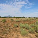 Property photo for land for sale in Montezuma County Colorado