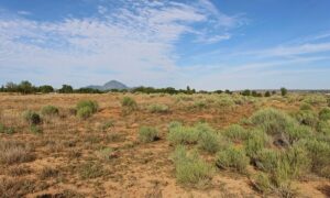 Property photo for land for sale in Montezuma County Colorado