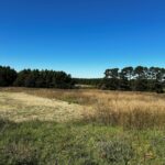 Property photo for land for sale in Cleburne County Arkansas