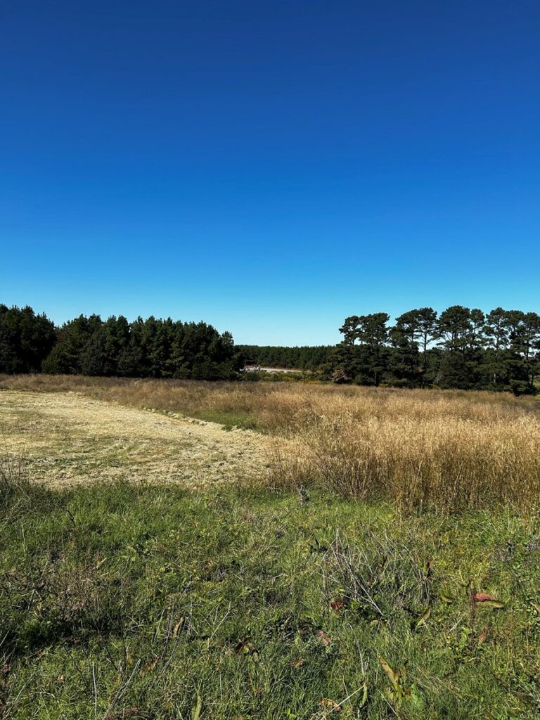 Property photo for land for sale in Cleburne County Arkansas