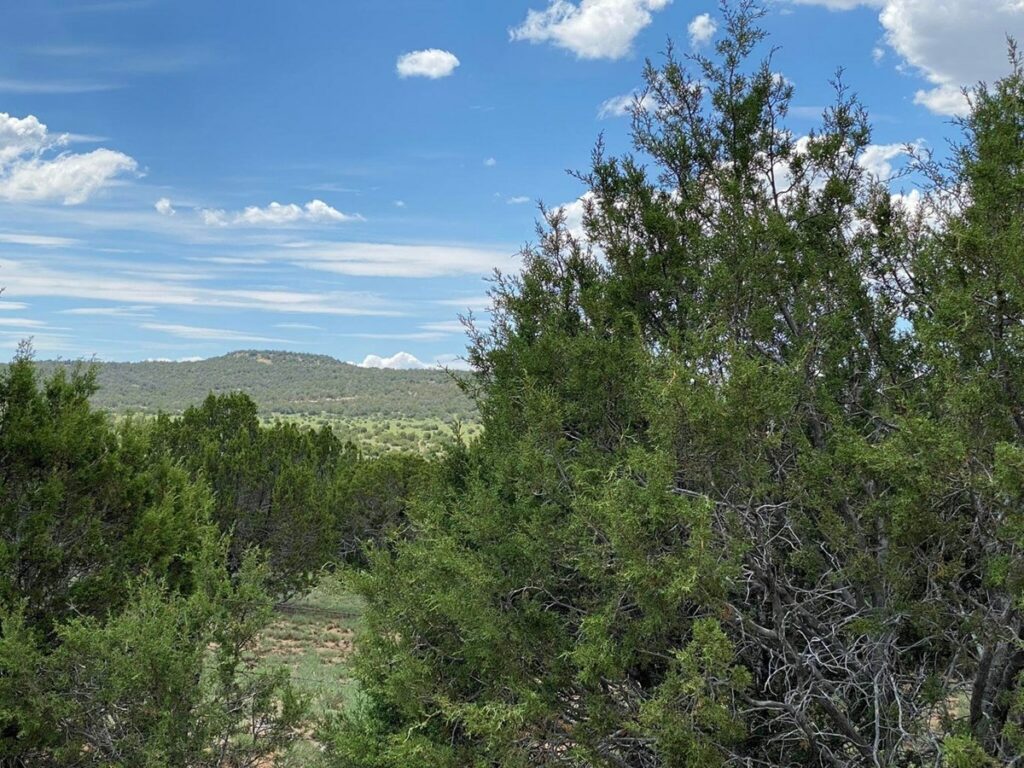 Property photo for land for sale in Torrance County New Mexico