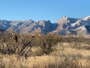 Property photo for land for sale in Cochise County Arizona