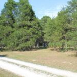 Property photo for land for sale in Boone County Missouri