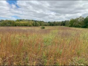 Property photo for land for sale in Putnam County Tennessee