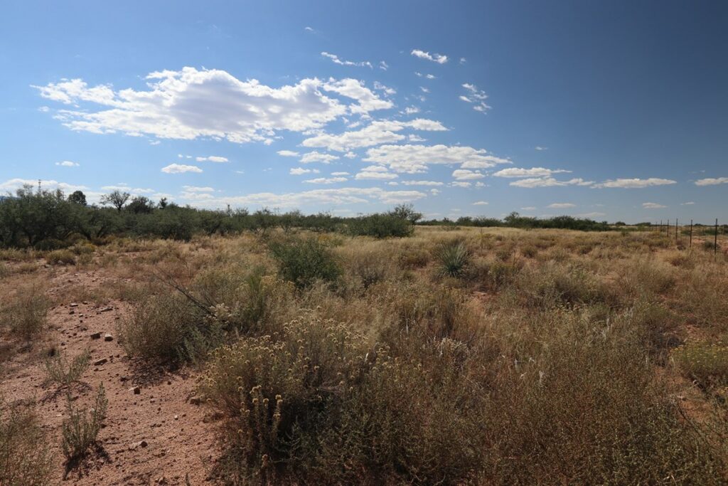 Property photo for land for sale in Cochise County Arizona