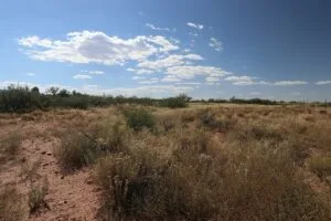 Property photo for land for sale in Cochise County Arizona