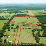 Property photo for land for sale in Levy County Florida