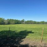 Property photo for land for sale in Fannin County Texas