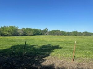 Property photo for land for sale in Fannin County Texas