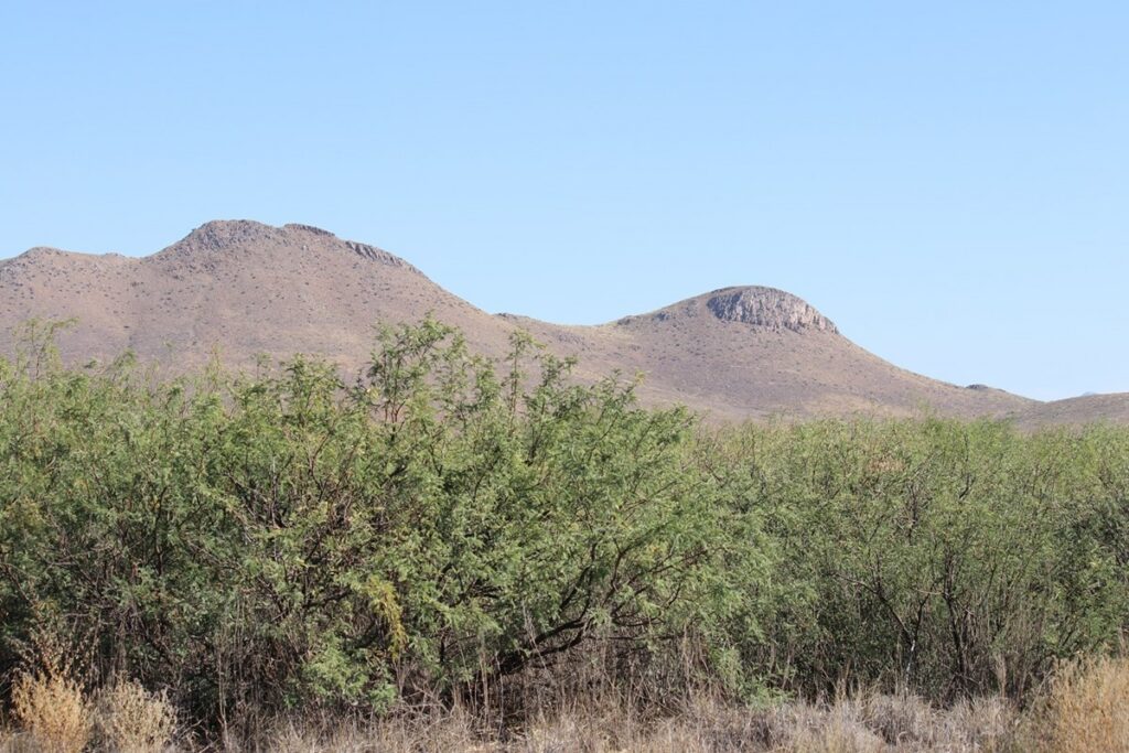 Property photo for land for sale in Cochise County Arizona