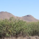 Property photo for land for sale in Cochise County Arizona