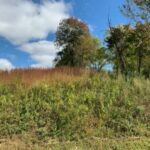 Property photo for land for sale in Putnam County Tennessee