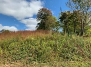 Property photo for land for sale in Putnam County Tennessee