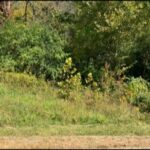 Property photo for land for sale in Putnam County Tennessee