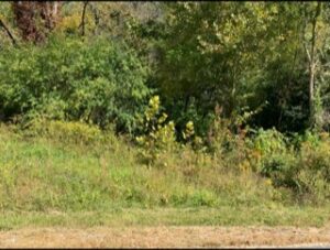 Property photo for land for sale in Putnam County Tennessee