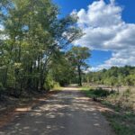 Property photo for land for sale in Ouachita County Arkansas