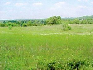 Property photo for land for sale in Howell County Missouri