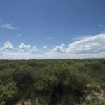 Property photo for land for sale in Torrance County New Mexico