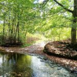 Property photo for land for sale in Lewis County Tennessee