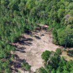 Property photo for land for sale in Amite County Mississippi