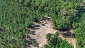 Property photo for land for sale in Amite County Mississippi