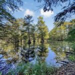 Property photo for land for sale in Ouachita County Louisiana