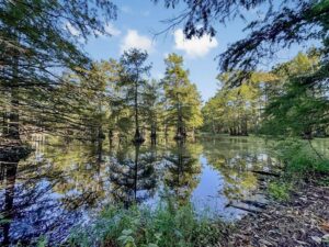 Property photo for land for sale in Ouachita County Louisiana