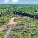 Property photo for land for sale in Amite County Mississippi