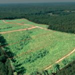 Property photo for land for sale in Wayne County Tennessee