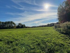 Property photo for land for sale in Herkimer County New York