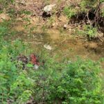 Property photo for land for sale in Fulton County Arkansas