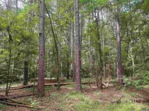 Property photo for land for sale in Ouachita County Louisiana