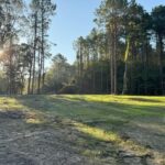 Property photo for land for sale in Wilkinson County Mississippi