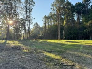 Property photo for land for sale in Wilkinson County Mississippi